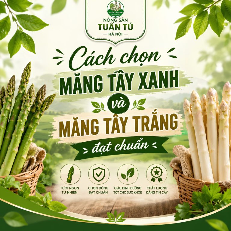 Cách Chọn Măng Tây Xanh Và Măng Tây Trắng Đạt Chuẩn