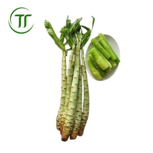 Rau tiến vua tươi
