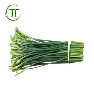 Ngồng tỏi