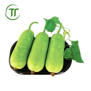 Quả bầu ngắn (Bắc Kạn)