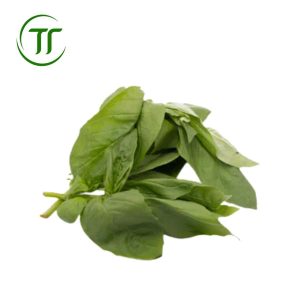 Hoa húng quế (Bay leaves)