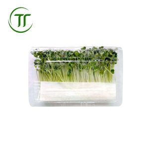 Rau mầm các loại