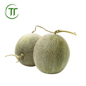 dưa nhà lưới