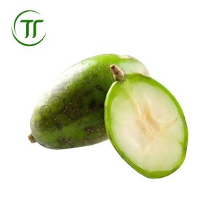cóc bao tử