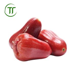 quả roi xuất khẩu