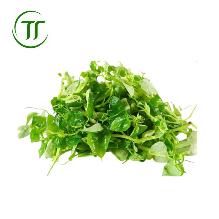 Rau càng cua ( Đà Lạt) Rau càng cua ( Đà Lạt)