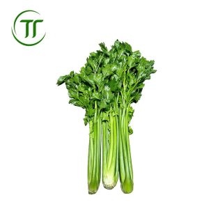 Rau cần mỹ Đà Lạt