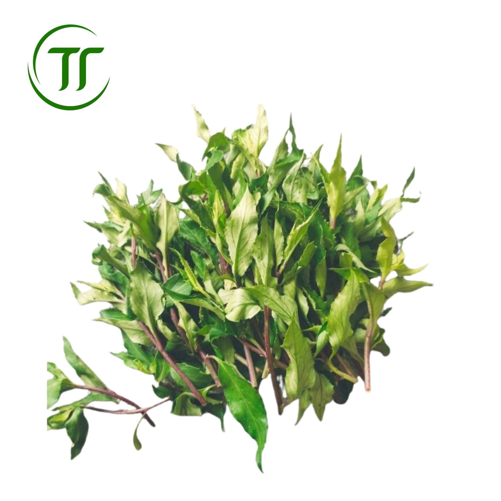 Rau Lủi Gia Lai (Rau Rừng) Đặc Biệt Rau Lủi Gia Lai