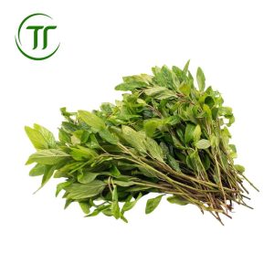 Rau thơm láng
