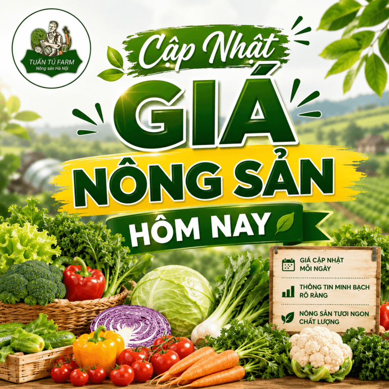 Bảng Giá Nông Sản Hôm Nay – Báo Giá Sỉ