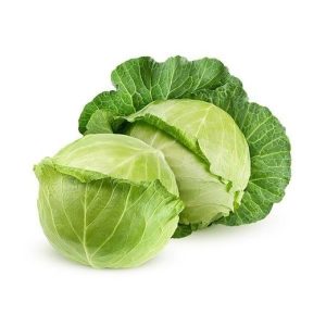 Bắp cải trắng mộc châu