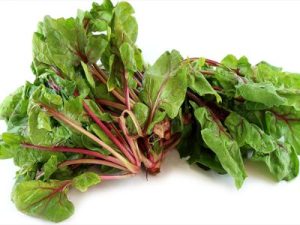 Rau gân đỏ Sorrel