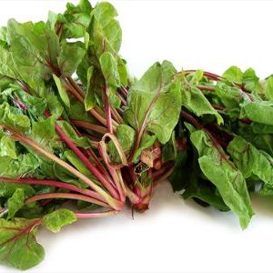 Rau gân đỏ Sorrel