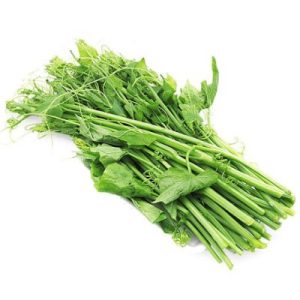Ngọn su ngắn