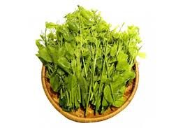 Rau bò khai (rau Rừng)