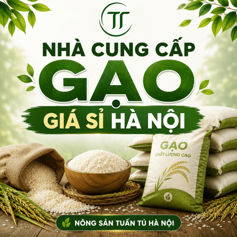 Cung Cấp Gạo Giá Sỉ Hà Nội: Chọn Đúng Loại, Giảm Hao Hụt Cho Bếp