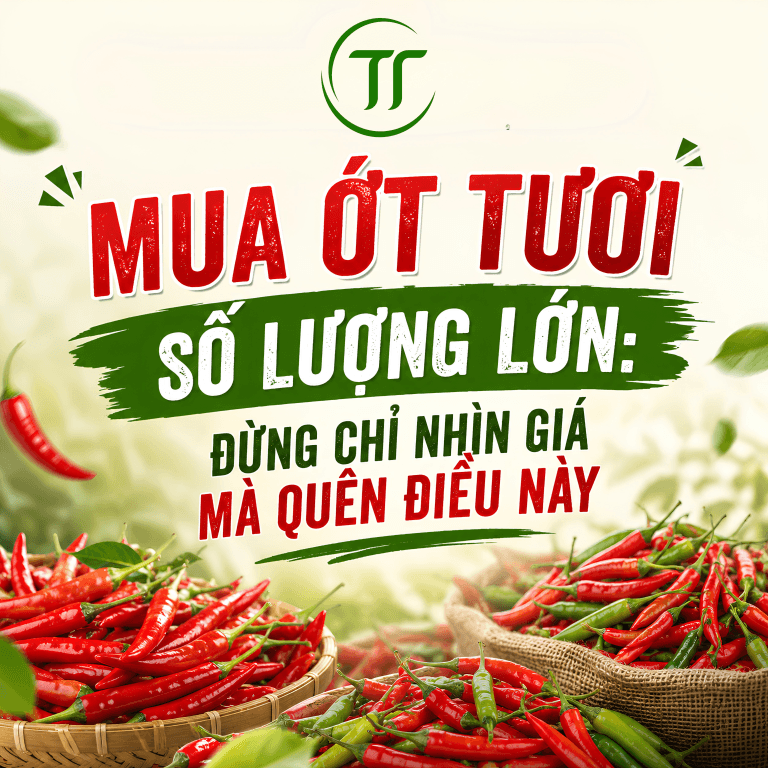 Mua Ớt Tươi Số Lượng Lớn: Đừng Chỉ Nhìn Giá Mà Quên Điều Này