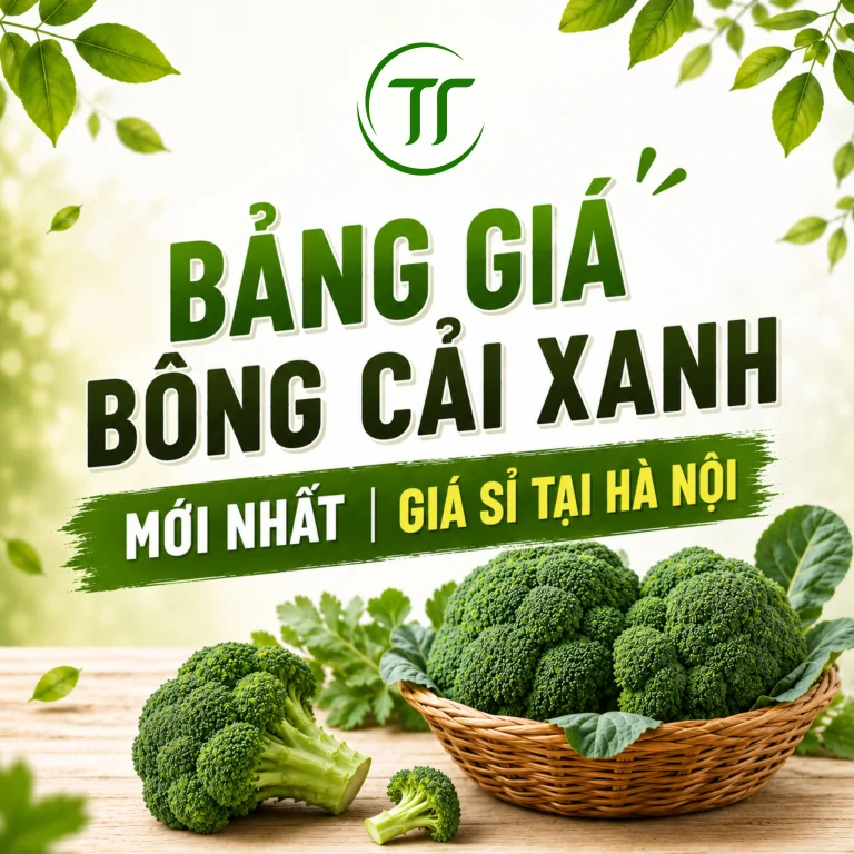 Bảng Giá Bông Cải Xanh Mới Nhất | Giá Sỉ Tại Hà Nội