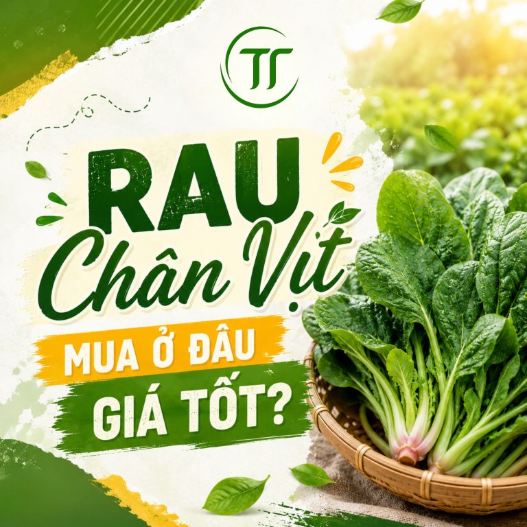 Rau Chân Vịt Mua Ở Đâu Giá Tốt?