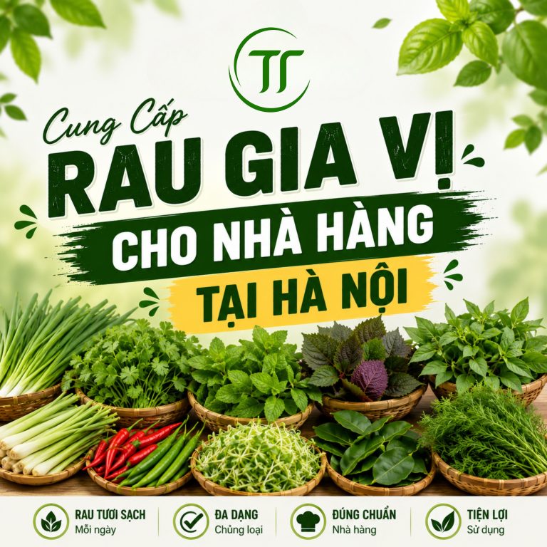 Cung Cấp Rau Gia Vị Cho Nhà Hàng Tại Hà Nội