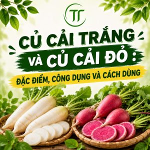 Củ Cải Trắng Và Củ Cải Đỏ: Đặc Điểm, Công Dụng Và Cách Dùng