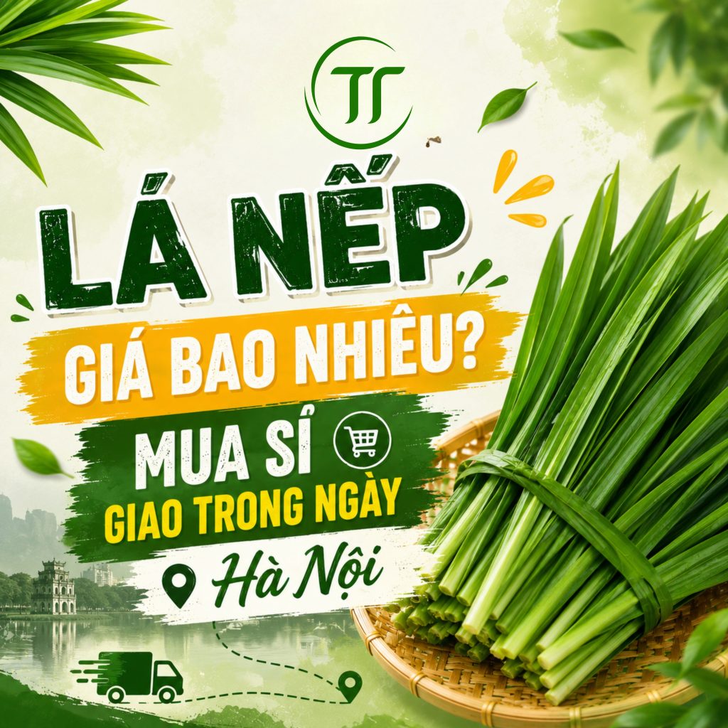 Lá Nếp Giá Bao Nhiêu? Mua Sỉ Giao Trong Ngày Hà Nội
