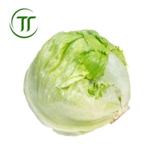 Xà Lách Cuộn Trắng