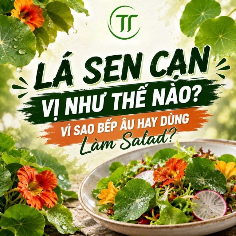 Lá Sen Cạn Vị Như Thế Nào? Vì Sao Bếp Âu Hay Dùng Làm Salad?