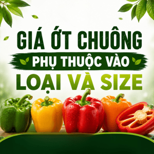 ớt chuông bao nhiêu 1kg