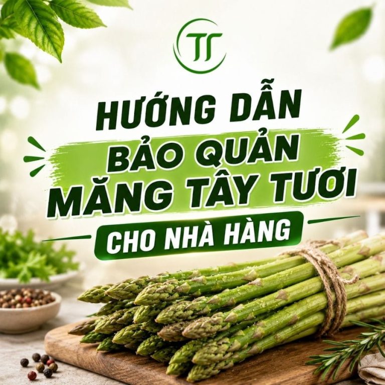 Hướng Dẫn Bảo Quản Măng Tây Tươi Cho Nhà Hàng