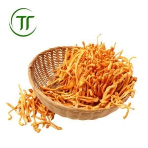 Nấm đông trùng