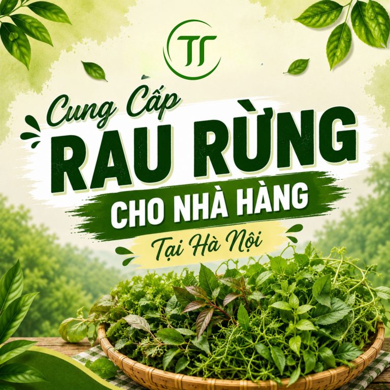Cung Cấp Rau Rừng Cho Nhà Hàng Tại Hà Nội