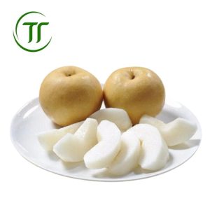 Mắc cọp