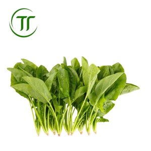 Rau chân vịt
