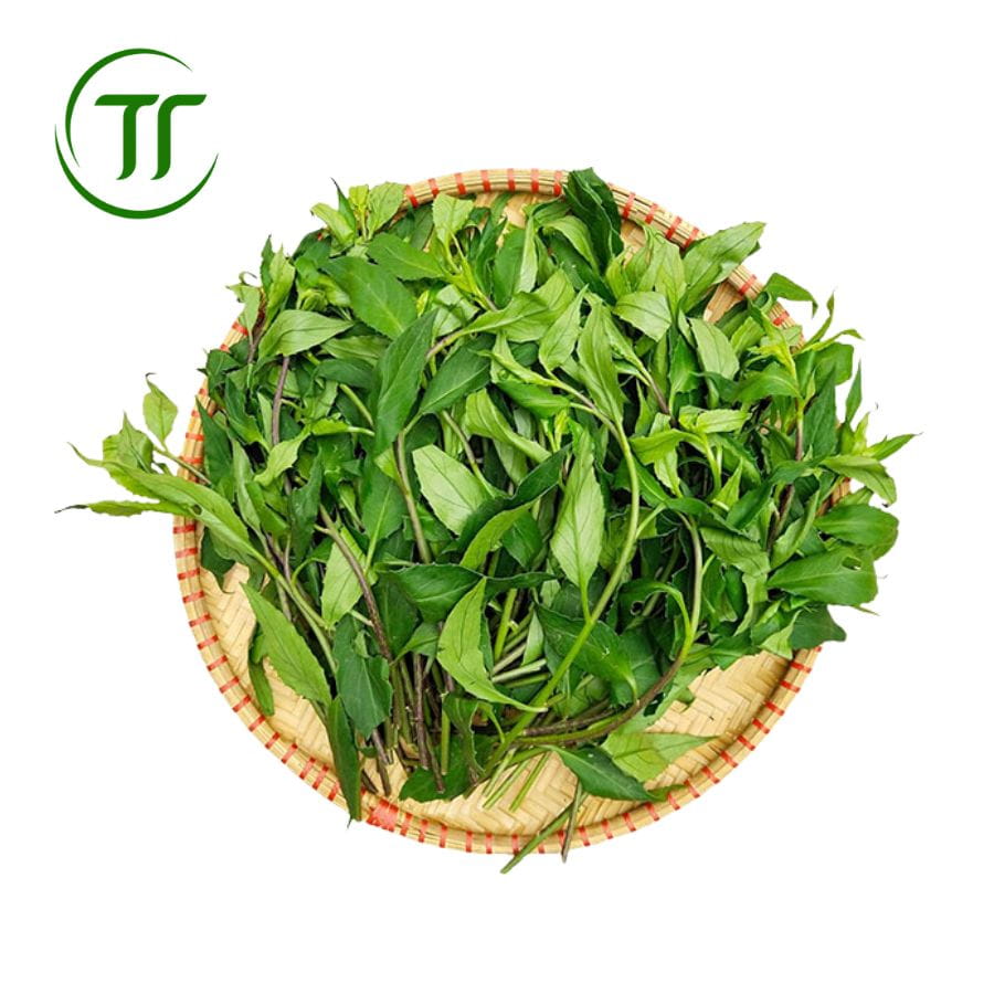 Rau Lủi Gia Lai (Rau Rừng) Đặc Biệt Rau Lủi Gia Lai (Rau Rừng) Đặc Biệt