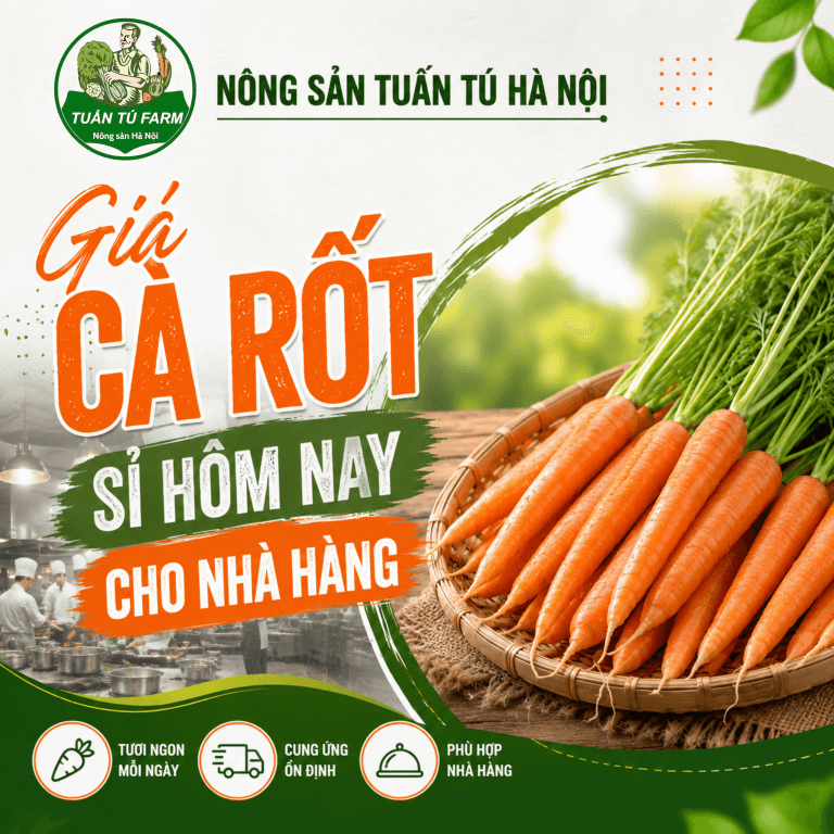 Giá Cà Rốt Sỉ Hôm Nay Cho Nhà Hàng