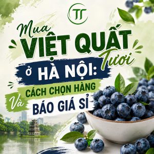 Việt Quất Mua Ở Đâu: Cách Chọn Hàng Và Báo Giá Sỉ