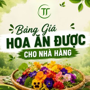 Bảng Giá Hoa Ăn Được Cho Nhà Hàng: Cập Nhật Mới Nhất