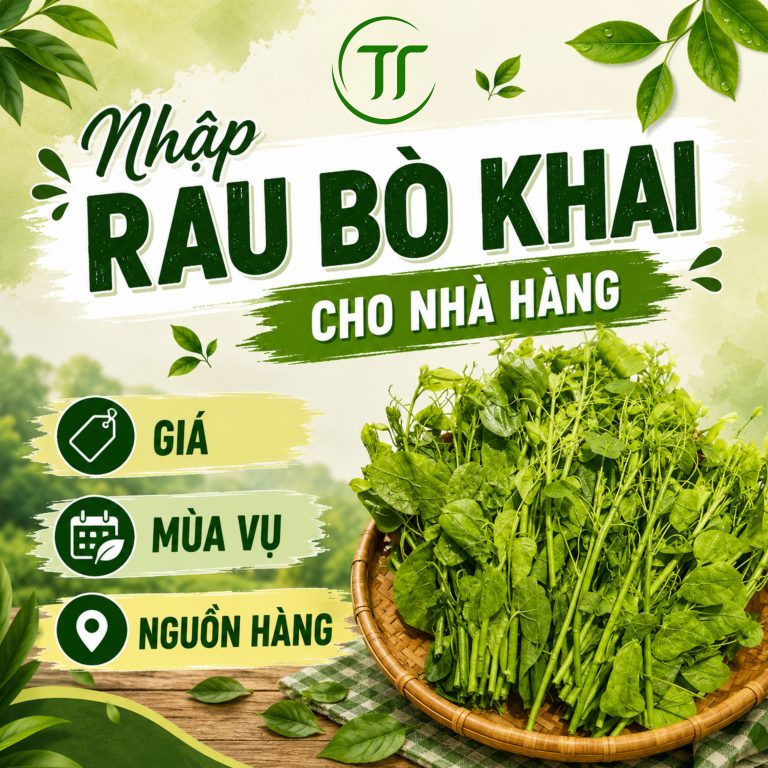 Nhập Rau Bò Khai Cho Nhà Hàng: Giá, Mùa Vụ Và Nguồn Hàng