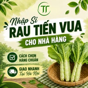 Nhập Sỉ Rau Tiến Vua Cho Nhà Hàng: Cách Chọn và Nguồn Sỉ