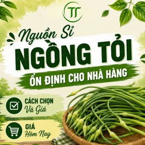 Nguồn Sỉ Ngồng Tỏi Ổn Định Cho Nhà Hàng: Cách Chọn Và Giá Hôm Nay