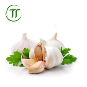 Tỏi XK Củ