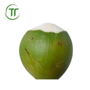 Dừa Xiêm Xanh Gọt Đầu