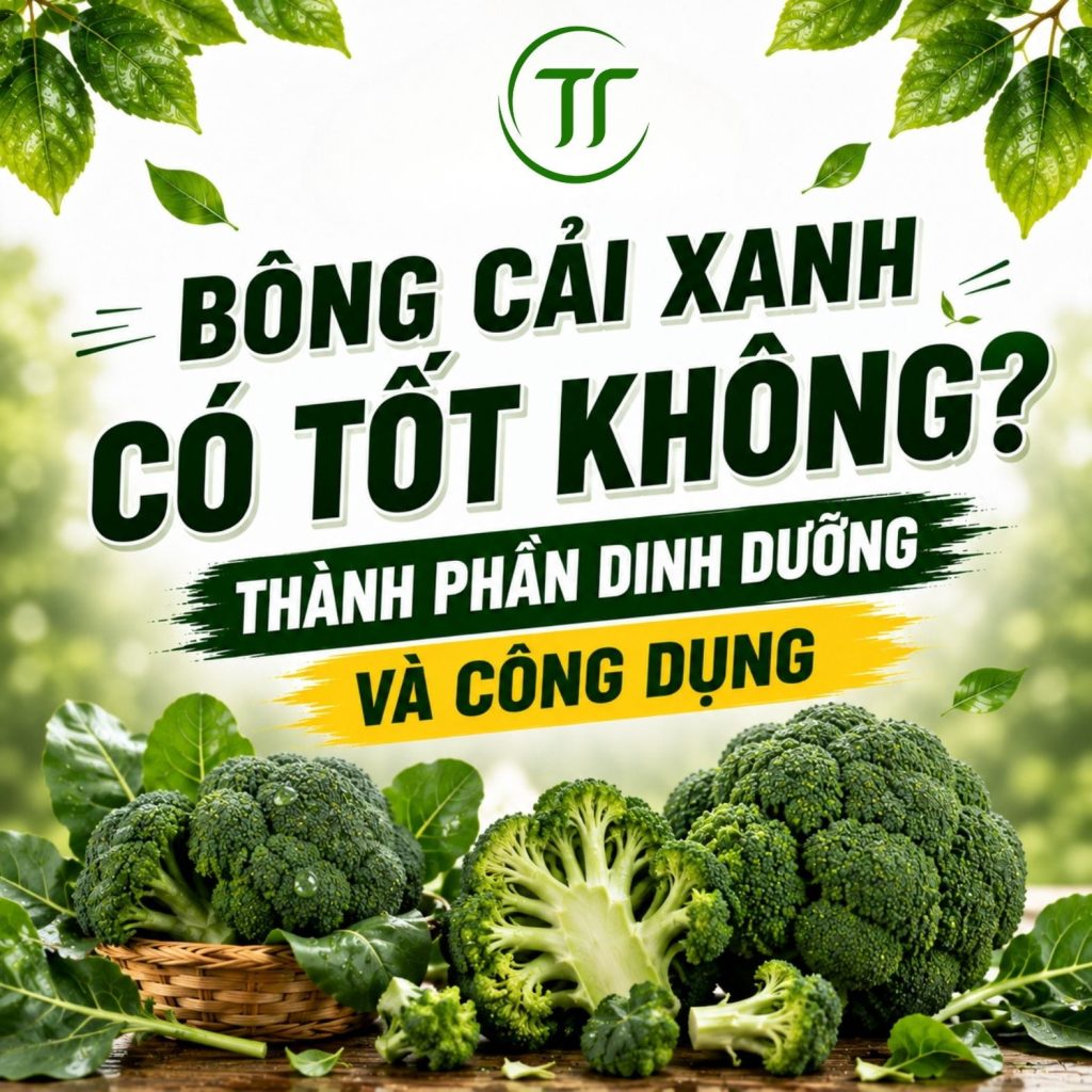 Bông Cải Xanh Có Tốt Không? Thành Phần Dinh Dưỡng Và Công Dụng