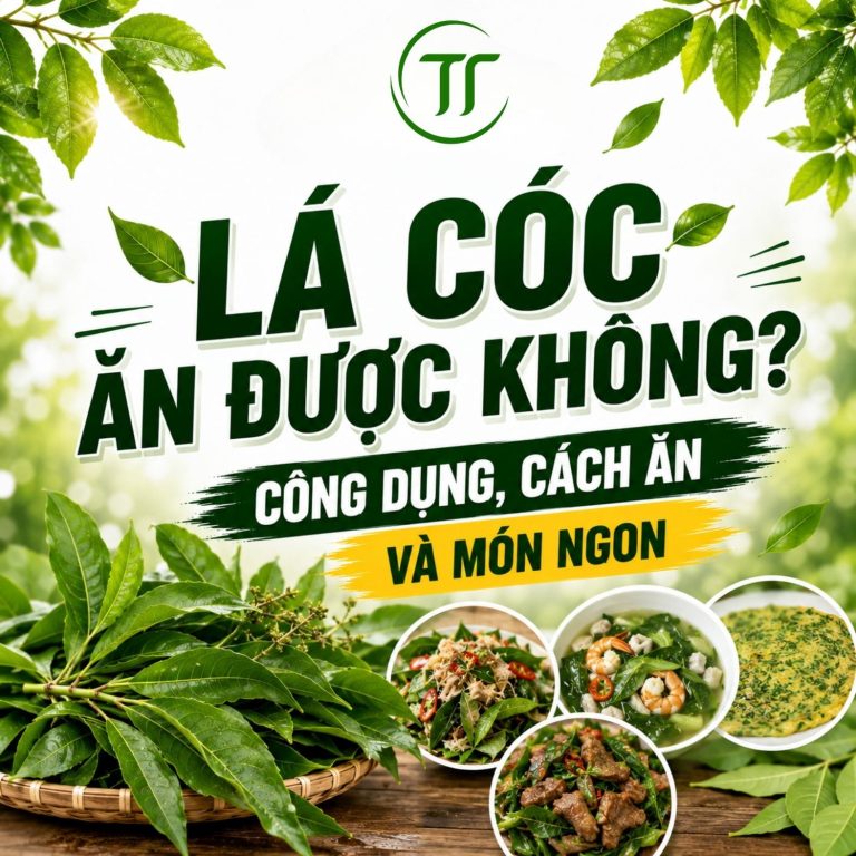 Lá Cóc Ăn Được Không? Công Dụng, Cách Ăn Và Món Ngon