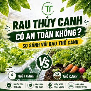 Rau Thủy Canh Có An Toàn Không? So Sánh Với Rau Thổ Canh