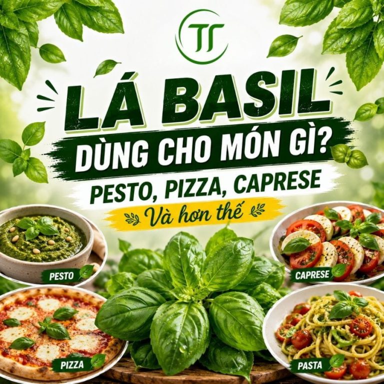 Lá Basil Dùng Cho Món Gì? Pesto, Pizza, Caprese Và Hơn Thế