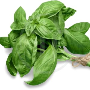 Lá Basil Dùng Cho Món Gì? Pesto, Pizza, Caprese Và Hơn Thế