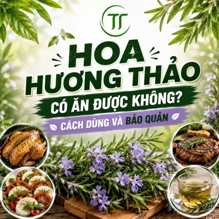 Hoa Hương Thảo Có Ăn Được Không? Cách Dùng Và Bảo Quản