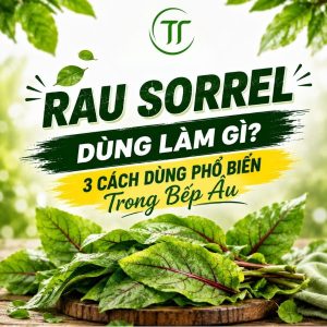 Rau Sorrel Dùng Làm Gì? 3 Cách Dùng Phổ Biến Trong Bếp Âu